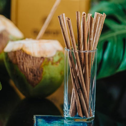 Coconut Leaf Straws pack of 50 pcs