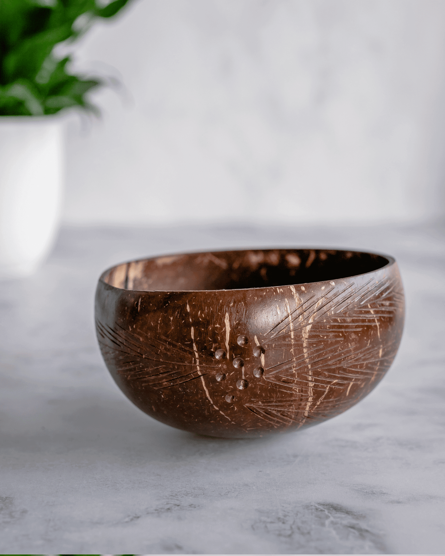 Palm Leaf Coconut Bowl