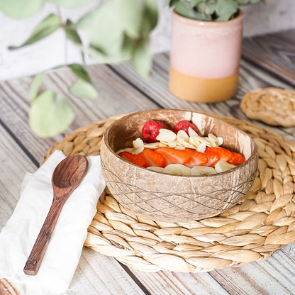 Rivera Rustic Coconut Bowl