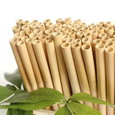 Bamboo Straw